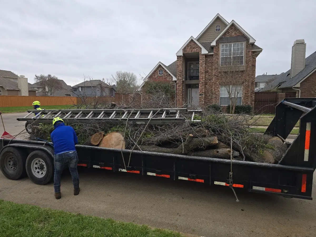 Expert Tree Fertilization with proper safety equipment in Walkerton